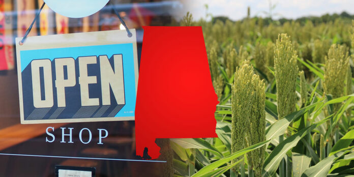 Small-Business-Farming