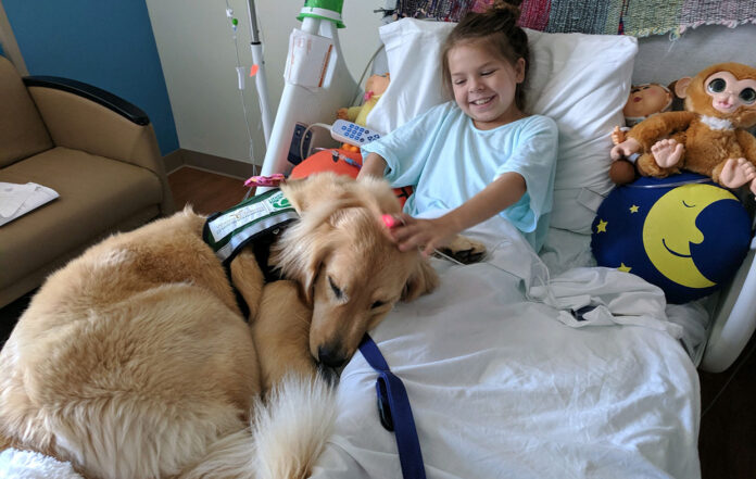 Asteroid with patient