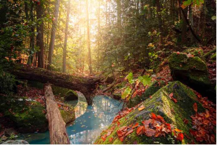 AL Mountain Lakes Tourism