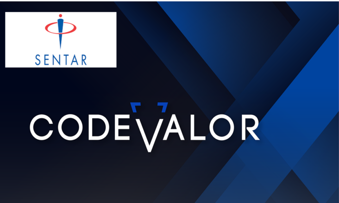 CodeValor graphic