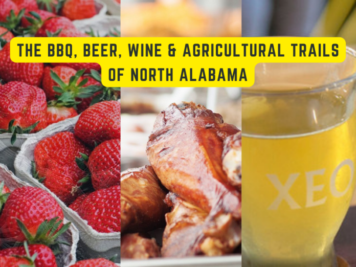 BBQ-Beer-wine-agricultural-trails-north-alabama