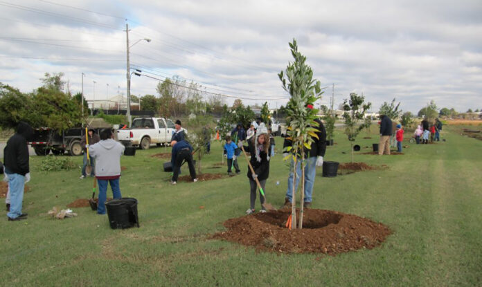 Tree Planting