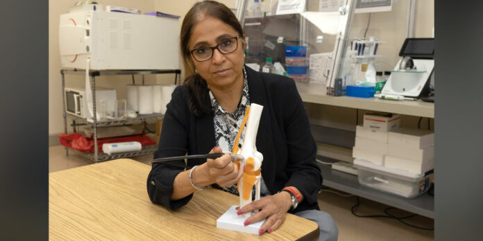 Dr-Anu-Subramanian-University-of-Alabama-Huntsville