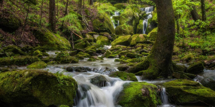 Cane-Creek-Canyon-Nature-Preserve-Keith-Bozeman