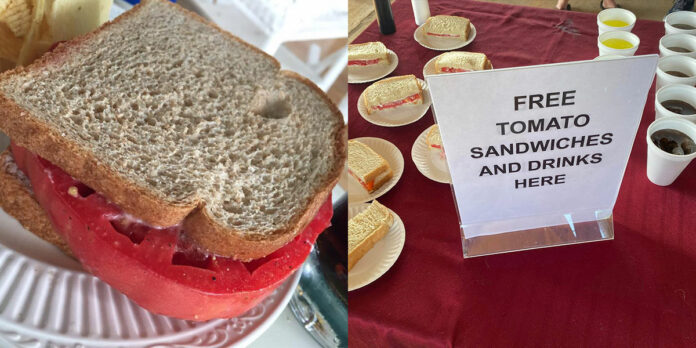 Free-Tomato-Sandwiches
