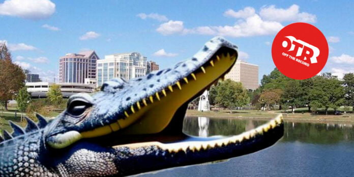 OTR-Off-The-Record-Alligator