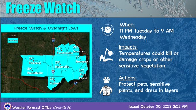 FreezeWatch 10-30