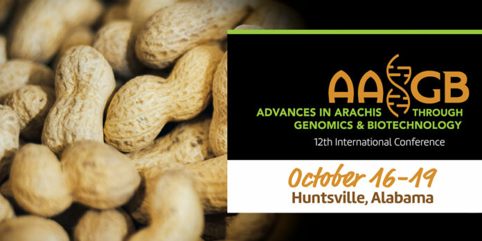 Peanut-Research-HudsonAlpha